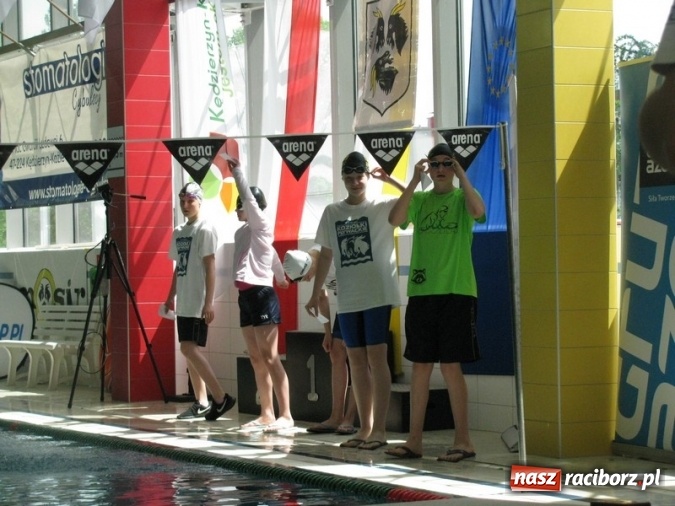 Zdjęcie w galerii na portalu naszraciborz.pl: Pływanie. Raciborskie sukcesy na kędzierzyńskich Koziołkach  wiadomości z regionu