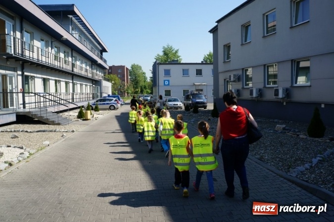 Zdjęcie w galerii na portalu naszraciborz.pl: Przedszkolaki z wizytą u raciborskich policjantów  wiadomości z regionu