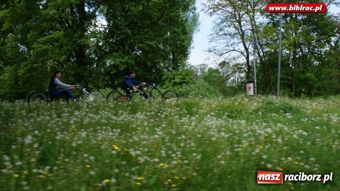 Zdjęcie w galerii na portalu naszraciborz.pl: Finał Tygodnia Bibliotek - coś dla ducha i ciała wiadomości z regionu