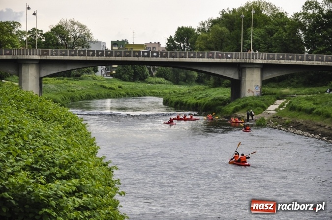 Zdjęcie w galerii na portalu naszraciborz.pl: Gra Miejska Podejmij wyzwanie z PWSZ na rozpoczęcie Raciborskich Juwenaliów wiadomości z regionu