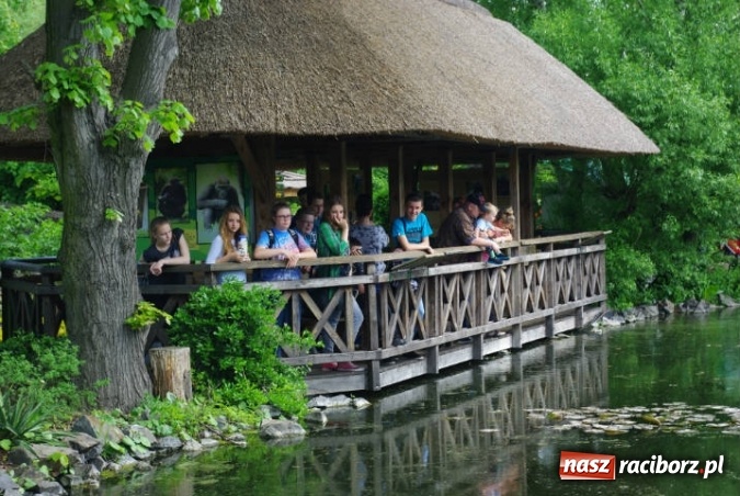 Zdjęcie w galerii na portalu naszraciborz.pl: Odwiedziny uczniów Gimnazjum nr 5 w Opolu  wiadomości z regionu