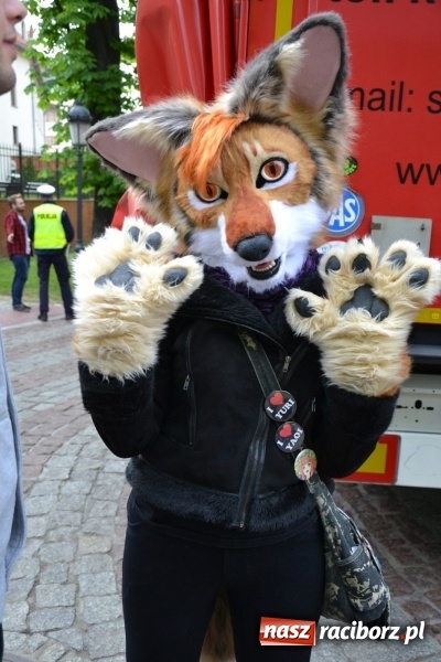 Zdjęcie w galerii na portalu naszraciborz.pl: Juwenalia 2016. Przejazd studentów na Zamek Piastowski wiadomości z regionu