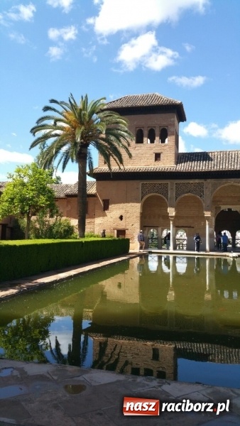 Zdjęcie w galerii na portalu naszraciborz.pl: Z Raciborza do Hiszpanii, czyli uczniowie CKZiU nr 1 na ciekawych praktykach wiadomości z regionu
