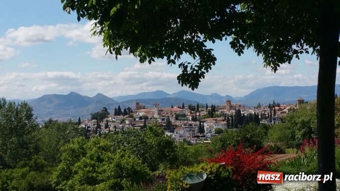 Zdjęcie w galerii na portalu naszraciborz.pl: Z Raciborza do Hiszpanii, czyli uczniowie CKZiU nr 1 na ciekawych praktykach wiadomości z regionu