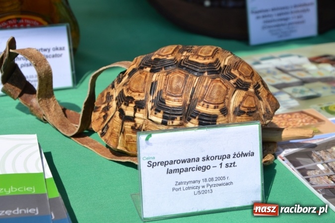 Zdjęcie w galerii na portalu naszraciborz.pl: XXV rocznica powstania Straży Granicznej  wiadomości z regionu