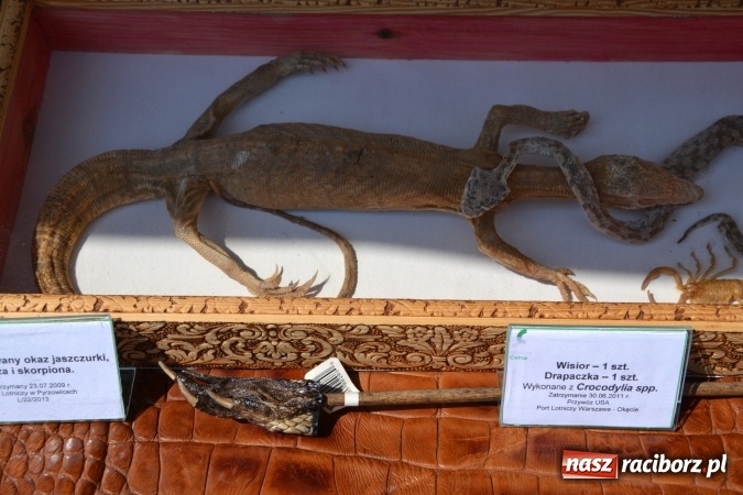 Zdjęcie w galerii na portalu naszraciborz.pl: XXV rocznica powstania Straży Granicznej  wiadomości z regionu