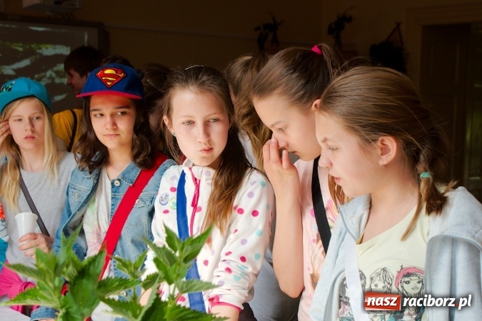 Zdjęcie w galerii na portalu naszraciborz.pl: Piknik naukowy z okazji Dni Otwartych G5 wiadomości z regionu