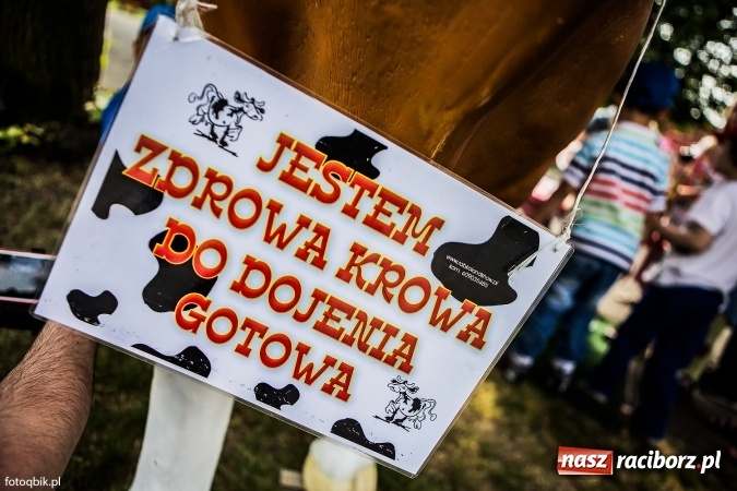 Zdjęcie w galerii na portalu naszraciborz.pl: Moc atrakcji na Integracyjnym Pikniku Rodzinnym wiadomości z regionu