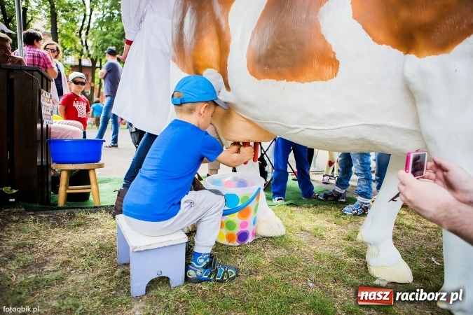 Zdjęcie w galerii na portalu naszraciborz.pl: Moc atrakcji na Integracyjnym Pikniku Rodzinnym wiadomości z regionu