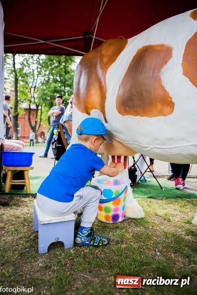 Zdjęcie w galerii na portalu naszraciborz.pl: Moc atrakcji na Integracyjnym Pikniku Rodzinnym wiadomości z regionu