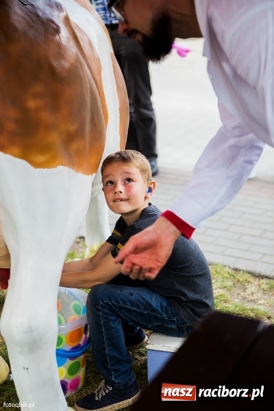 Zdjęcie w galerii na portalu naszraciborz.pl: Moc atrakcji na Integracyjnym Pikniku Rodzinnym wiadomości z regionu