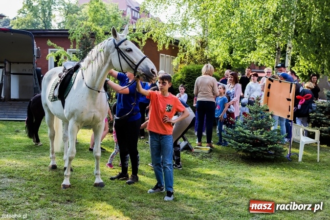 Zdjęcie w galerii na portalu naszraciborz.pl: Moc atrakcji na Integracyjnym Pikniku Rodzinnym wiadomości z regionu