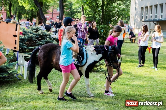 Zdjęcie w galerii na portalu naszraciborz.pl: Moc atrakcji na Integracyjnym Pikniku Rodzinnym wiadomości z regionu