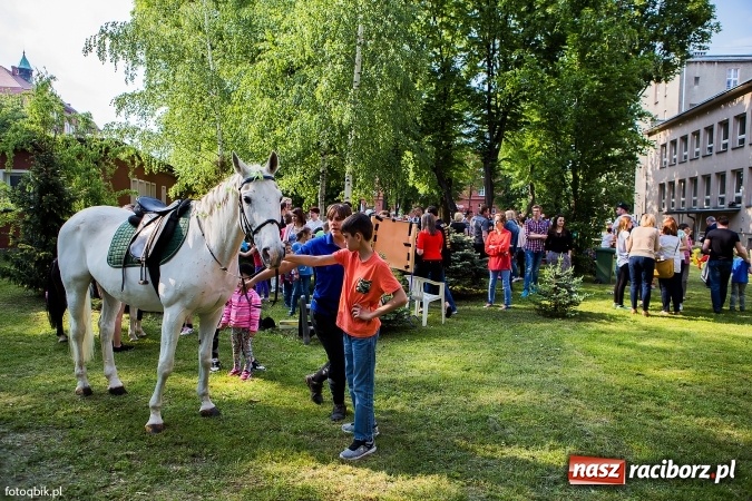 Zdjęcie w galerii na portalu naszraciborz.pl: Moc atrakcji na Integracyjnym Pikniku Rodzinnym wiadomości z regionu