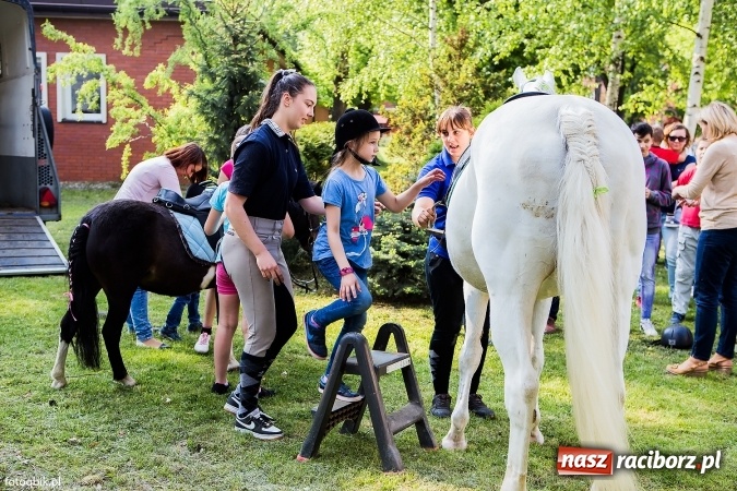 Zdjęcie w galerii na portalu naszraciborz.pl: Moc atrakcji na Integracyjnym Pikniku Rodzinnym wiadomości z regionu