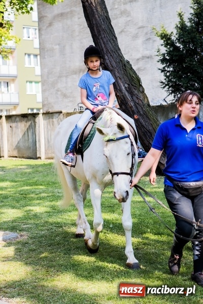 Zdjęcie w galerii na portalu naszraciborz.pl: Moc atrakcji na Integracyjnym Pikniku Rodzinnym wiadomości z regionu