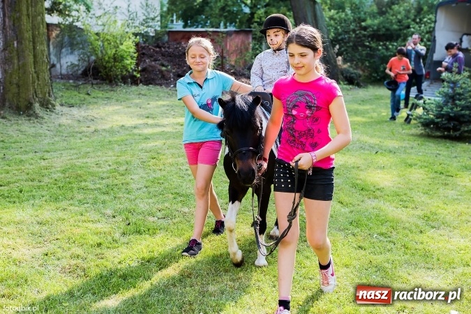 Zdjęcie w galerii na portalu naszraciborz.pl: Moc atrakcji na Integracyjnym Pikniku Rodzinnym wiadomości z regionu