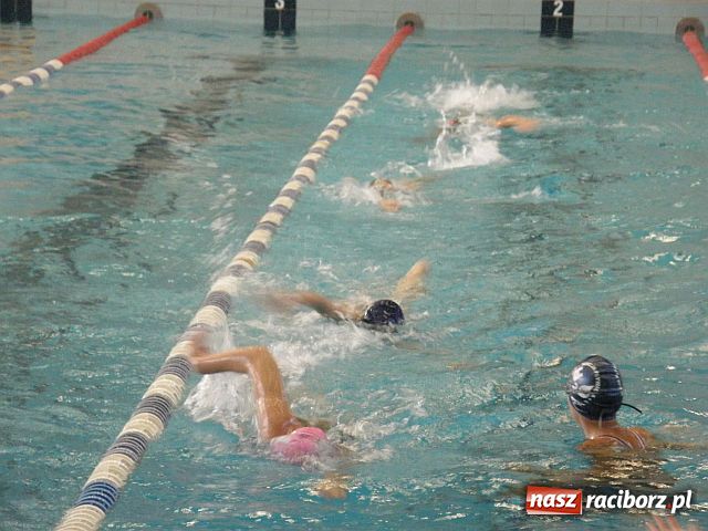 Zdjęcie w galerii na portalu naszraciborz.pl: Młodzi pływacy walczyli o medale wiadomości z regionu