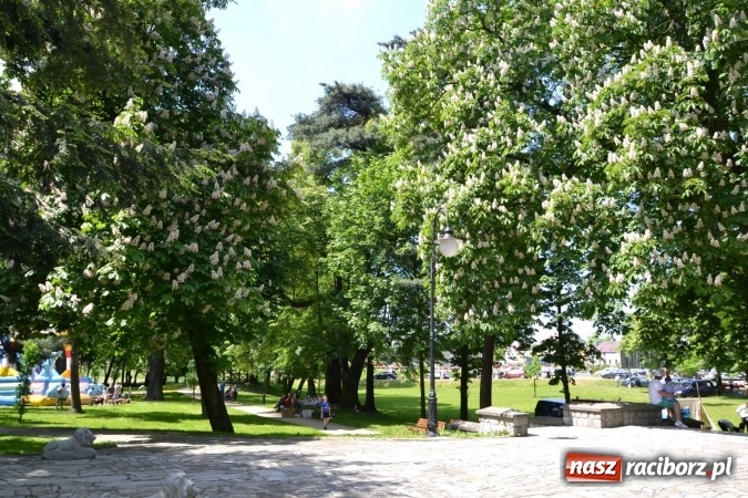 Zdjęcie w galerii na portalu naszraciborz.pl: Udana majówka pod zamkiem w Chałupkach wiadomości z regionu