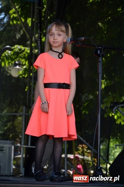 Zdjęcie w galerii na portalu naszraciborz.pl: Udana majówka pod zamkiem w Chałupkach wiadomości z regionu