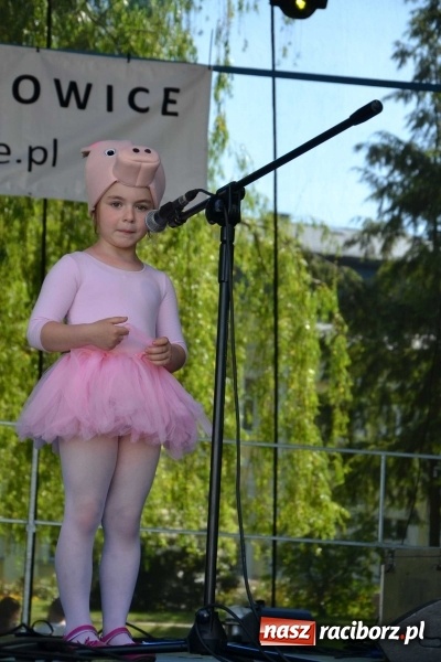 Zdjęcie w galerii na portalu naszraciborz.pl: Udana majówka pod zamkiem w Chałupkach wiadomości z regionu