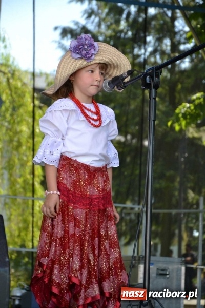 Zdjęcie w galerii na portalu naszraciborz.pl: Udana majówka pod zamkiem w Chałupkach wiadomości z regionu