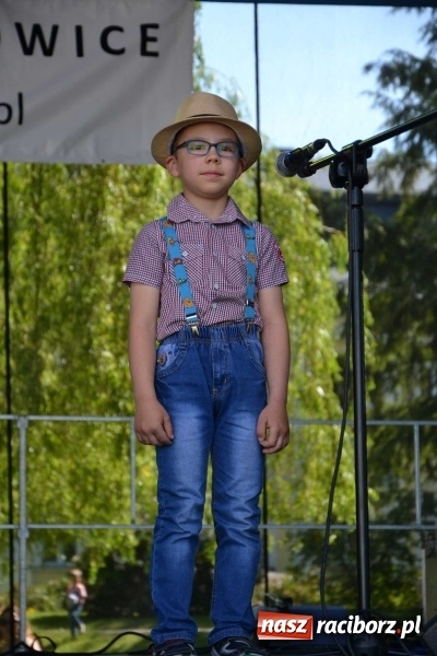 Zdjęcie w galerii na portalu naszraciborz.pl: Udana majówka pod zamkiem w Chałupkach wiadomości z regionu