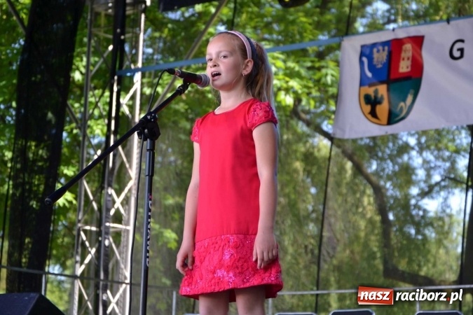 Zdjęcie w galerii na portalu naszraciborz.pl: Udana majówka pod zamkiem w Chałupkach wiadomości z regionu