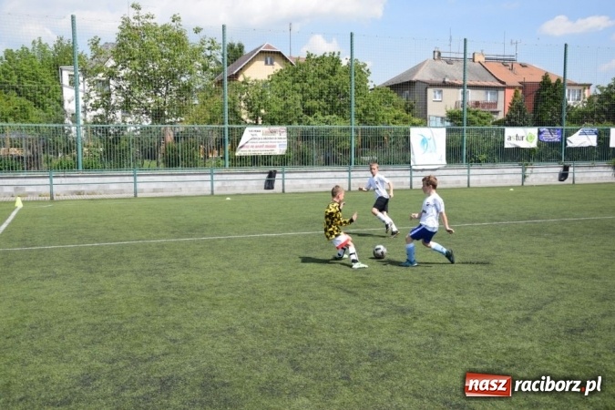 Zdjęcie w galerii na portalu naszraciborz.pl: Młodzi Unici najlepsi w Opavie wiadomości z regionu