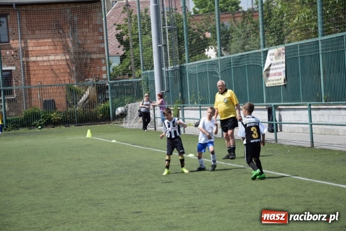 Zdjęcie w galerii na portalu naszraciborz.pl: Młodzi Unici najlepsi w Opavie wiadomości z regionu