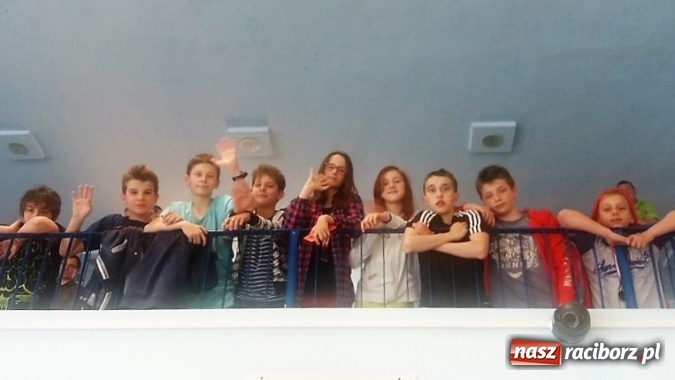 Zdjęcie w galerii na portalu naszraciborz.pl: Pływanie. Sześć medali 12-latków  wiadomości z regionu