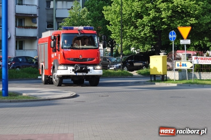 Zdjęcie w galerii na portalu naszraciborz.pl: Rój pszczół pod Lidlem. Interweniowała straż i... pszczelarz wiadomości z regionu