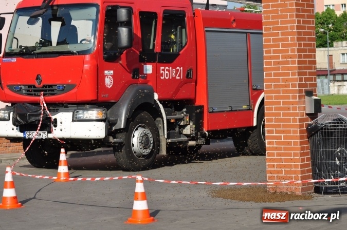 Zdjęcie w galerii na portalu naszraciborz.pl: Rój pszczół pod Lidlem. Interweniowała straż i... pszczelarz wiadomości z regionu