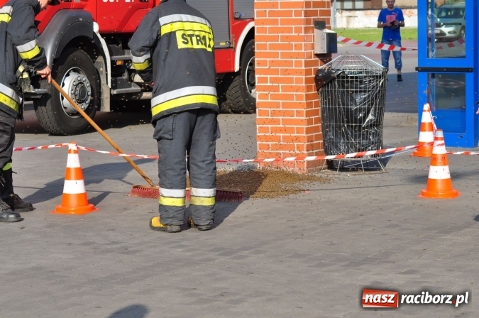 Zdjęcie w galerii na portalu naszraciborz.pl: Rój pszczół pod Lidlem. Interweniowała straż i... pszczelarz wiadomości z regionu