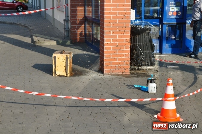 Zdjęcie w galerii na portalu naszraciborz.pl: Rój pszczół pod Lidlem. Interweniowała straż i... pszczelarz wiadomości z regionu