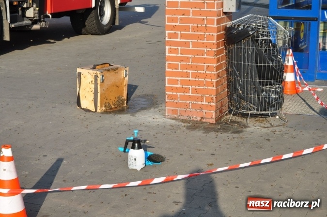 Zdjęcie w galerii na portalu naszraciborz.pl: Rój pszczół pod Lidlem. Interweniowała straż i... pszczelarz wiadomości z regionu