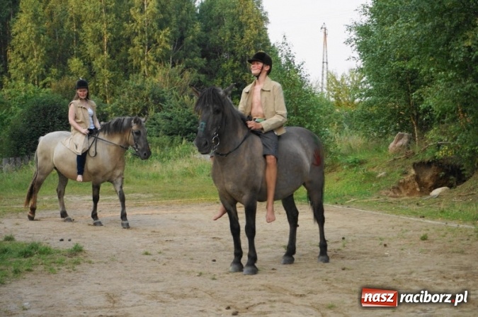 Zdjęcie w galerii na portalu naszraciborz.pl: Postaw na wartościowe wakacje!  Wybierz kultowy ADAPCIAK! wiadomości z regionu