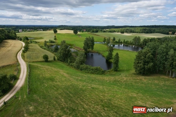 Zdjęcie w galerii na portalu naszraciborz.pl: Postaw na wartościowe wakacje!  Wybierz kultowy ADAPCIAK! wiadomości z regionu
