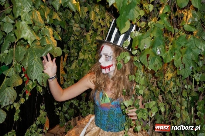 Zdjęcie w galerii na portalu naszraciborz.pl: Postaw na wartościowe wakacje!  Wybierz kultowy ADAPCIAK! wiadomości z regionu