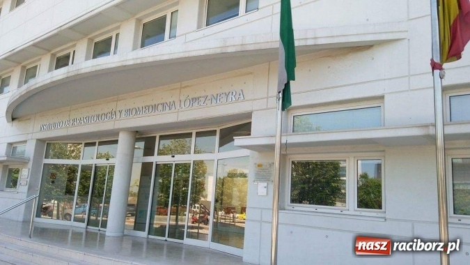 Zdjęcie w galerii na portalu naszraciborz.pl: Technicy analitycy z raciborskiego CKZiU nr 1 w Hiszpanii wiadomości z regionu