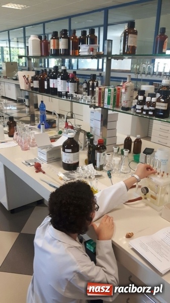 Zdjęcie w galerii na portalu naszraciborz.pl: Technicy analitycy z raciborskiego CKZiU nr 1 w Hiszpanii wiadomości z regionu