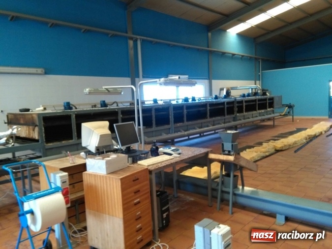 Zdjęcie w galerii na portalu naszraciborz.pl: Technicy analitycy z raciborskiego CKZiU nr 1 w Hiszpanii wiadomości z regionu