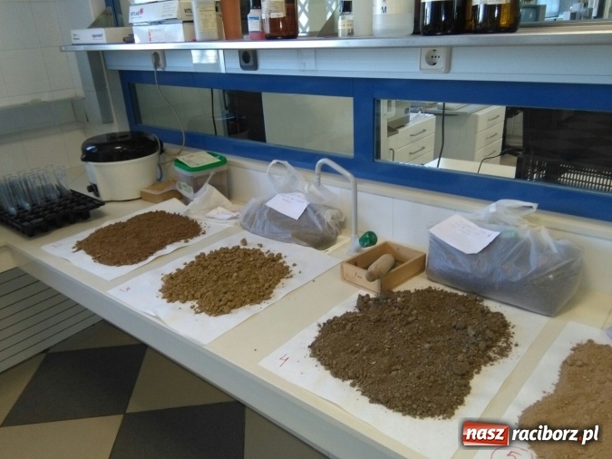 Zdjęcie w galerii na portalu naszraciborz.pl: Technicy analitycy z raciborskiego CKZiU nr 1 w Hiszpanii wiadomości z regionu