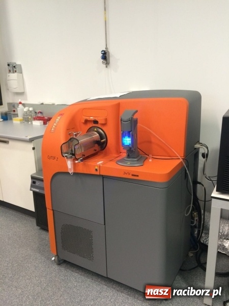 Zdjęcie w galerii na portalu naszraciborz.pl: Technicy analitycy z raciborskiego CKZiU nr 1 w Hiszpanii wiadomości z regionu