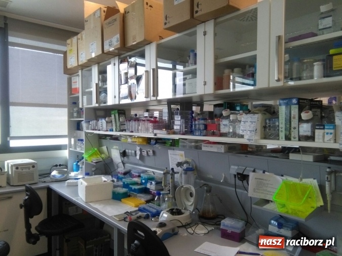 Zdjęcie w galerii na portalu naszraciborz.pl: Technicy analitycy z raciborskiego CKZiU nr 1 w Hiszpanii wiadomości z regionu