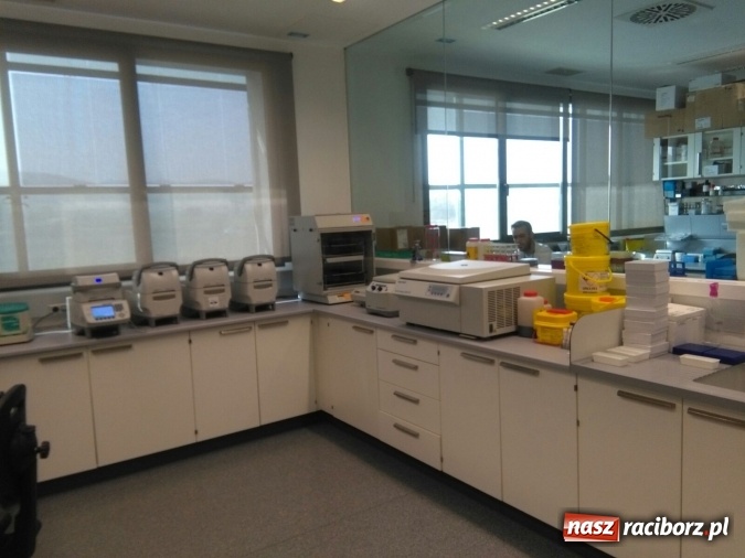 Zdjęcie w galerii na portalu naszraciborz.pl: Technicy analitycy z raciborskiego CKZiU nr 1 w Hiszpanii wiadomości z regionu