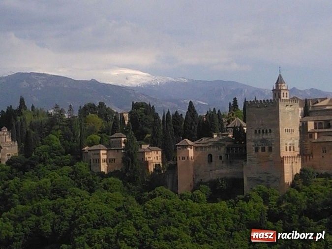 Zdjęcie w galerii na portalu naszraciborz.pl: Technicy analitycy z raciborskiego CKZiU nr 1 w Hiszpanii wiadomości z regionu