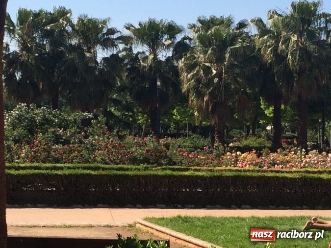 Zdjęcie w galerii na portalu naszraciborz.pl: Technicy analitycy z raciborskiego CKZiU nr 1 w Hiszpanii wiadomości z regionu