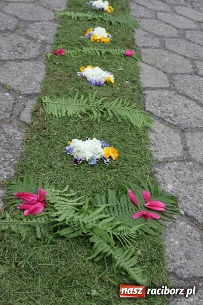 Zdjęcie w galerii na portalu naszraciborz.pl: Dziś Boże Ciało. Nasze ulice tradycyjnie pięknie ustrojone wiadomości z regionu