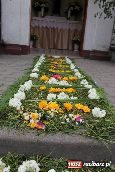 Zdjęcie w galerii na portalu naszraciborz.pl: Dziś Boże Ciało. Nasze ulice tradycyjnie pięknie ustrojone wiadomości z regionu
